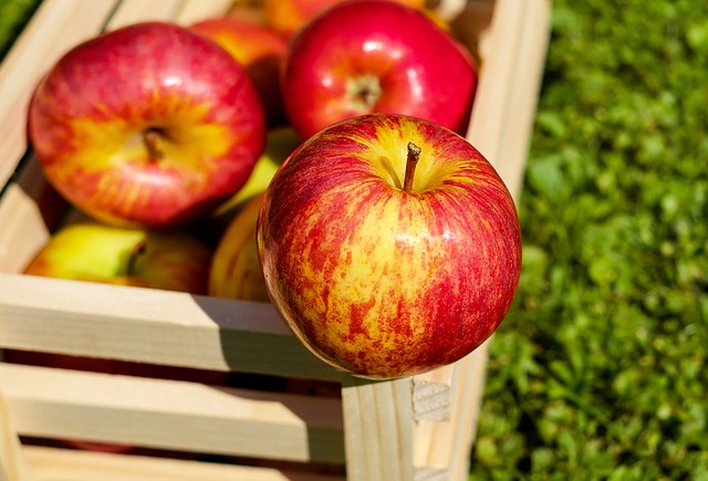Fachowcy którzy powiedzą wam jak przechowywać jabłka